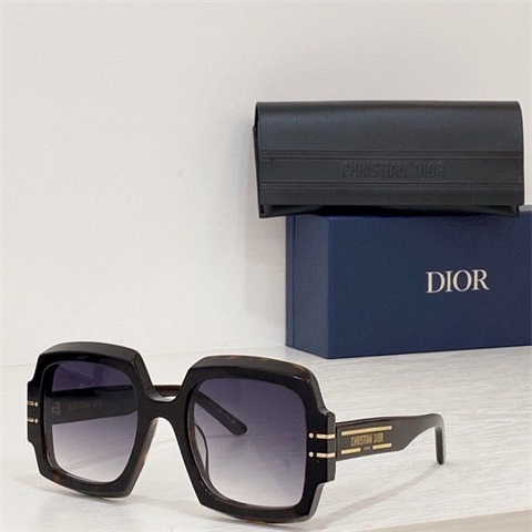 dior sunglass-127